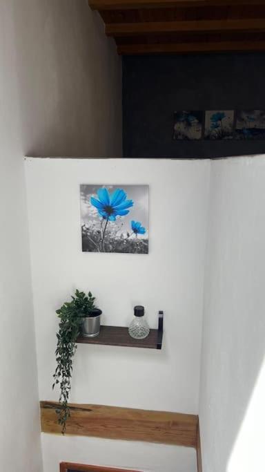 Ca La Trini Vivienda Vacacional Нава Экстерьер фото